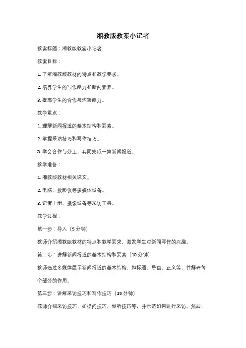 湘教版教案小记者