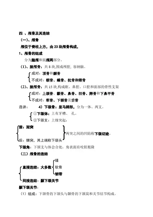 02颅骨及其连结