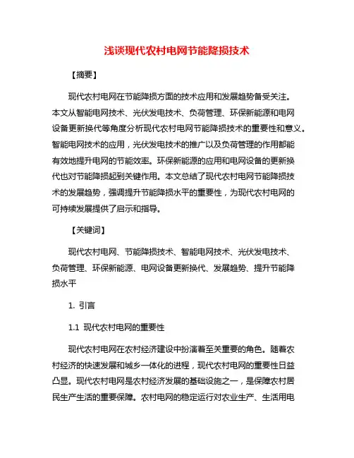 浅谈现代农村电网节能降损技术