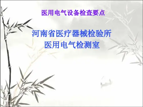 医用电气设备检查要点 PPT