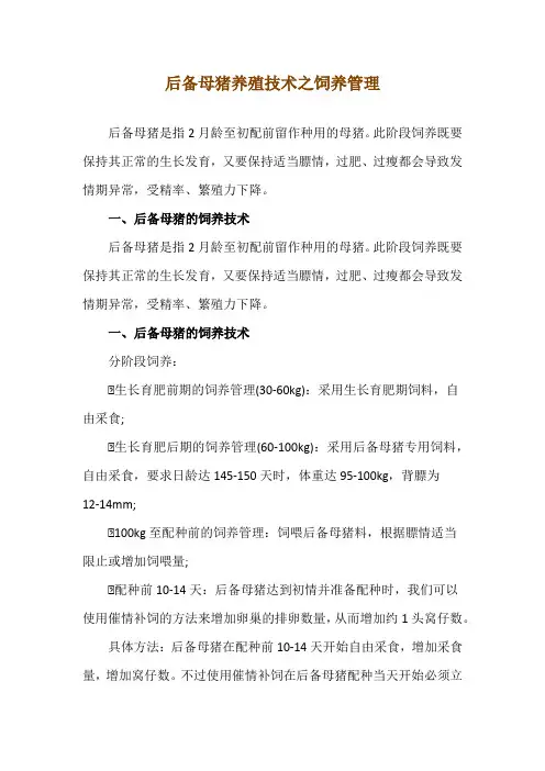 后备母猪养殖技术之饲养管理