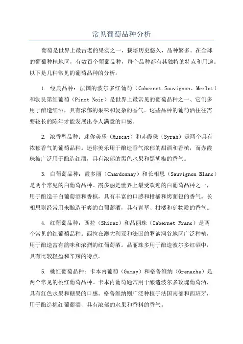 常见葡萄品种分析