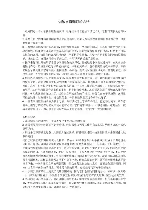 训练玄凤鹦鹉的方法