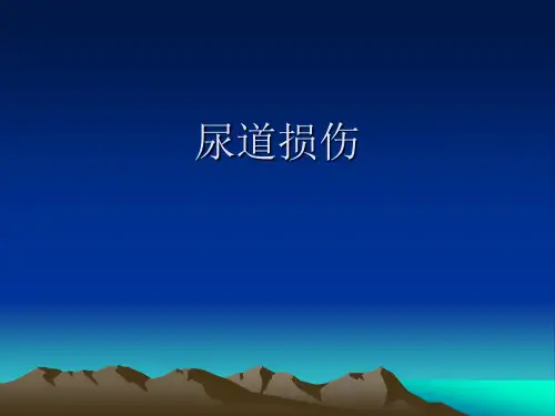 尿道损伤课件