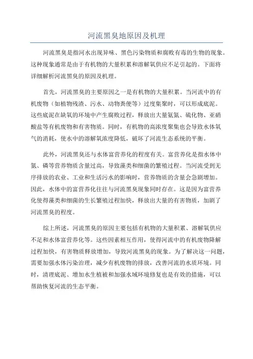 河流黑臭地原因及机理