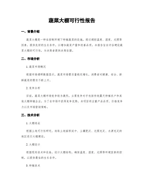 蔬菜大棚可行性报告