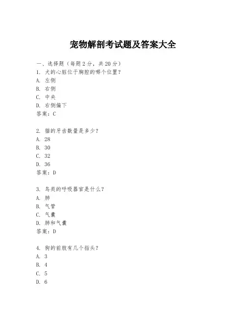 宠物解剖考试题及答案大全