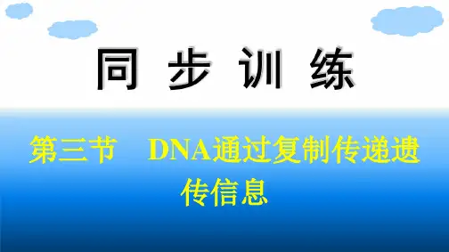 浙科版高中生物学必修2精品课件 第三章 遗传的分子基础 第三节 DNA通过复制传递遗传信息