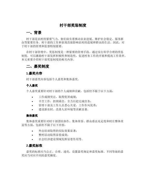 村干部奖惩制度