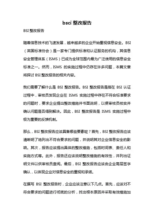 bsci 整改报告