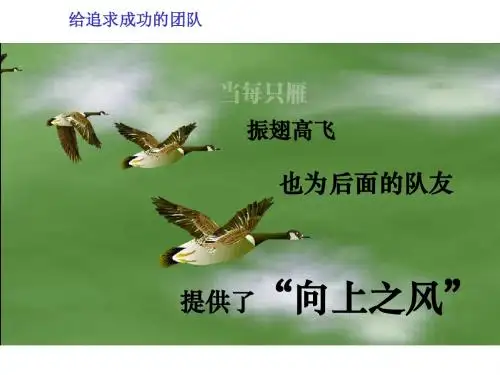 大雁精神