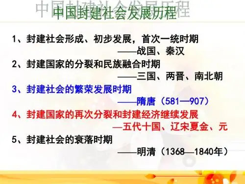 第9课  民族政权并立的时代(课件)(人教版)