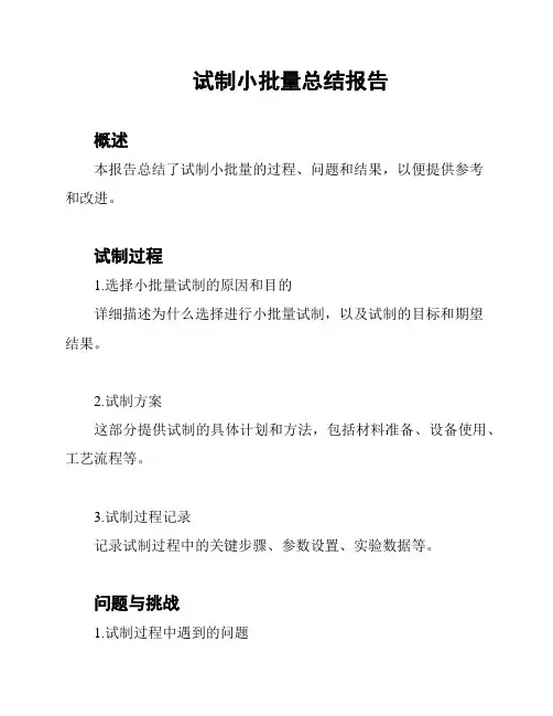 试制小批量总结报告