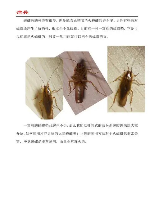 一窝端蟑螂药怎么使用