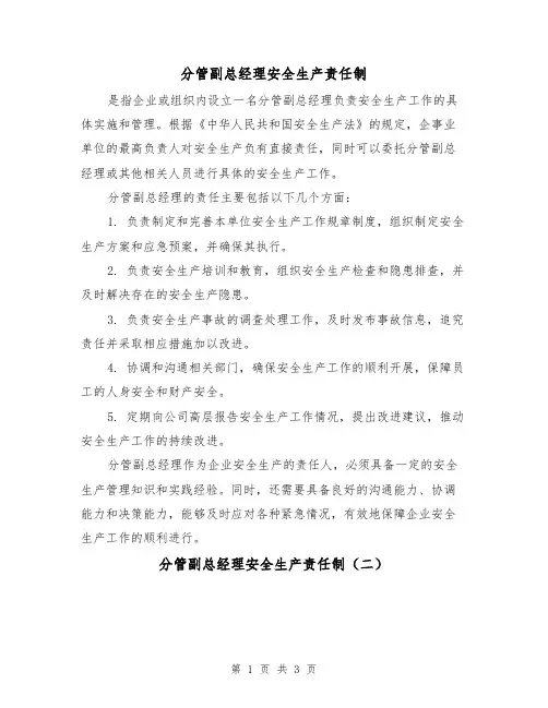 分管副总经理安全生产责任制(三篇)