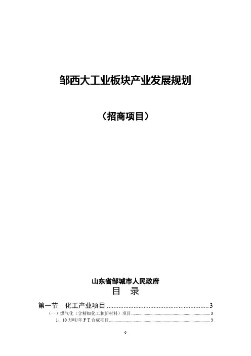 邹西大工业板块产业发展规划