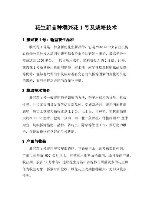 花生新品种濮兴花1号及栽培技术