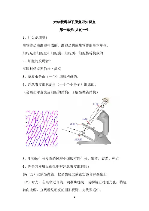 六年级科学下册知识点