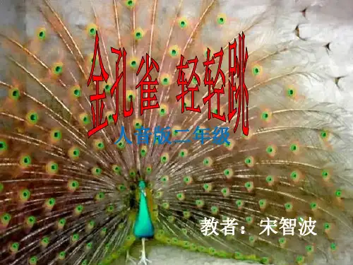 《金孔雀轻轻跳》PPT课件成品