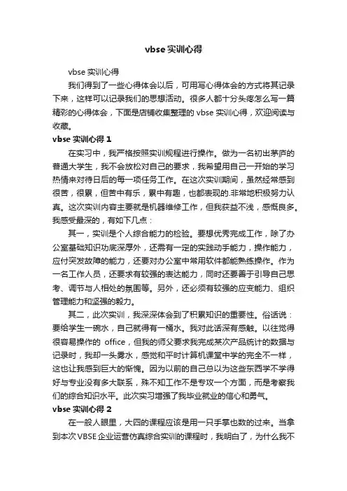 vbse实训心得