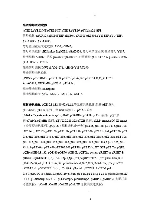 所有质粒载体汇总