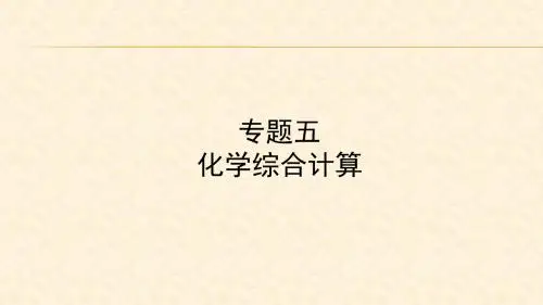 2018年中考化学总复习专题突破课件：专题五 化学综合计算 (共19张PPT)