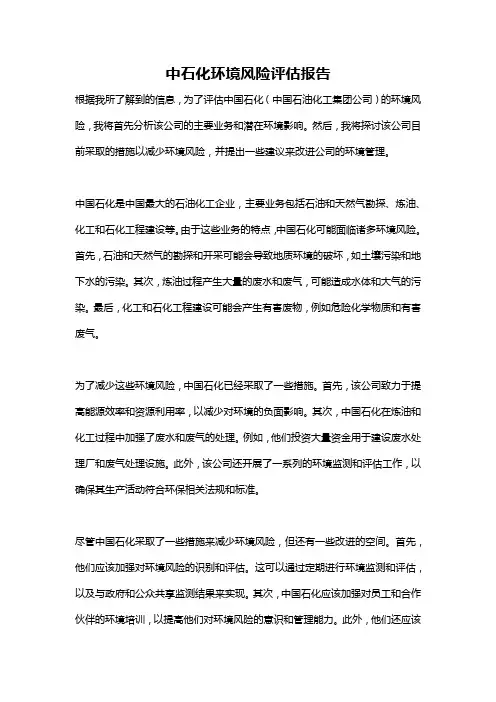 中石化环境风险评估报告