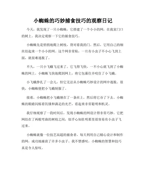 小学三年级作文小蜘蛛的巧妙捕食技巧的观察日记