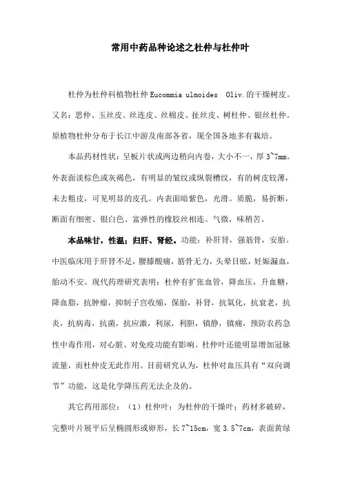 常用中药品种论述之杜仲与杜仲叶