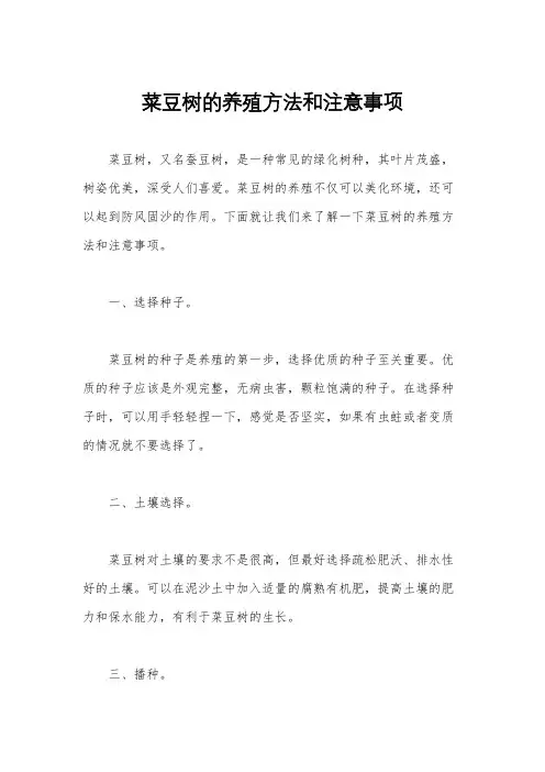 菜豆树的养殖方法和注意事项