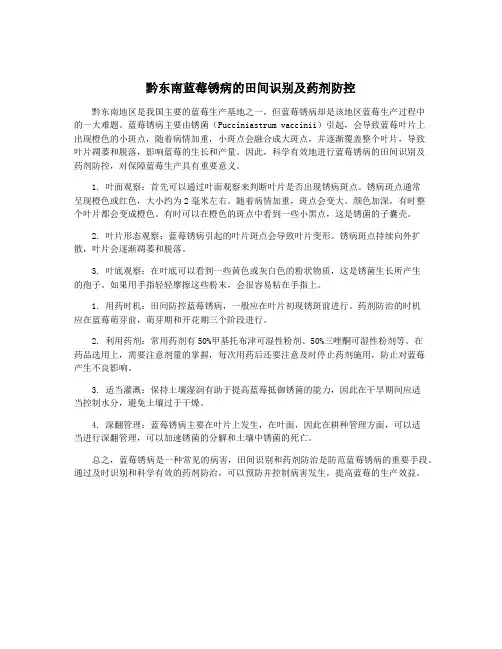 黔东南蓝莓锈病的田间识别及药剂防控