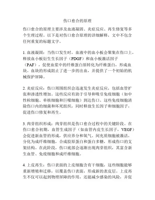 伤口愈合的原理
