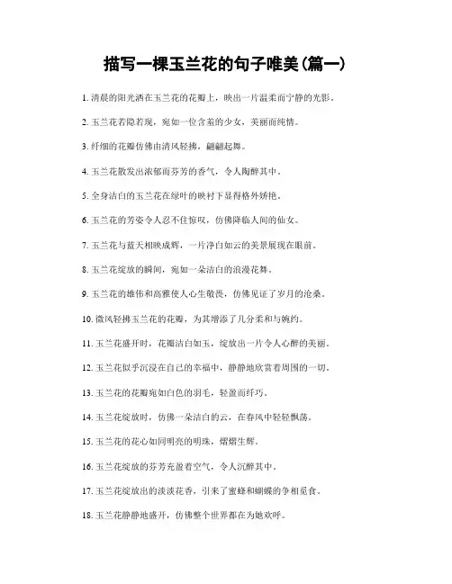 描写一棵玉兰花的句子唯美(精选合集2篇)