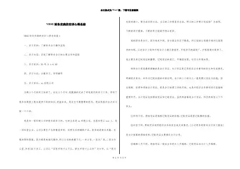 VBSE财务实践的实训心得总结