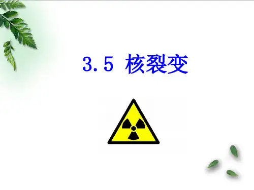 第5节核裂变(22张ppt)