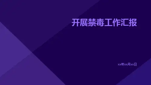 开展禁毒工作汇报PPT