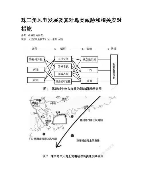 珠三角风电发展及其对鸟类威胁和相关应对措施