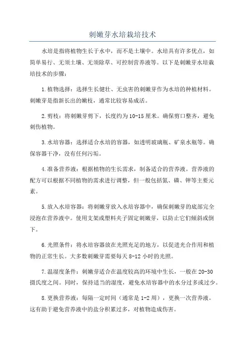 刺嫩芽水培栽培技术
