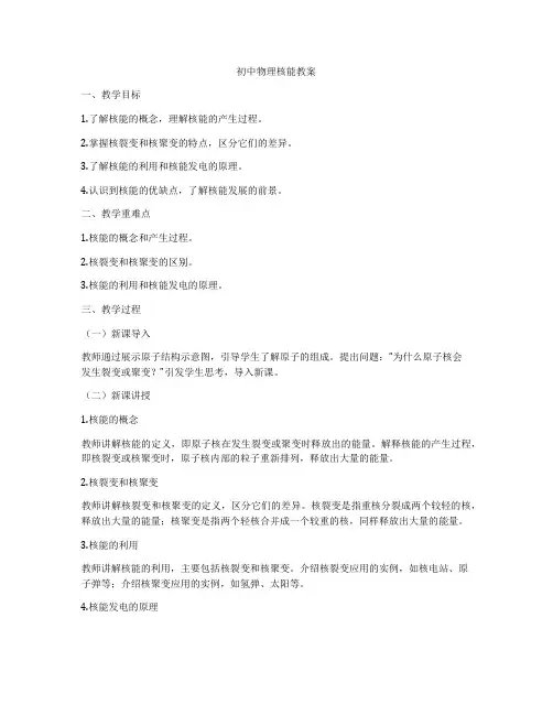 初中物理核能教案