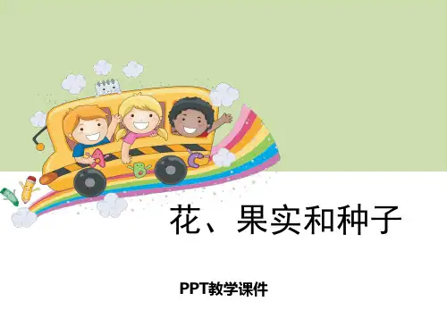 1花、果实和种子PPT课件