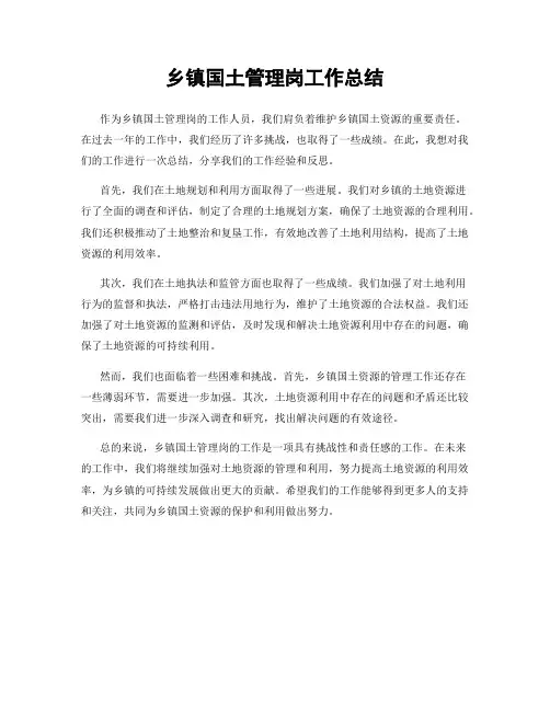 乡镇国土管理岗工作总结