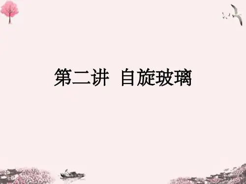 第二讲 自旋玻璃