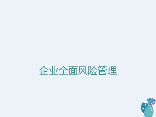 企业全面风险管理ppt