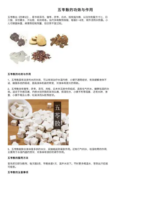 五苓散的功效与作用