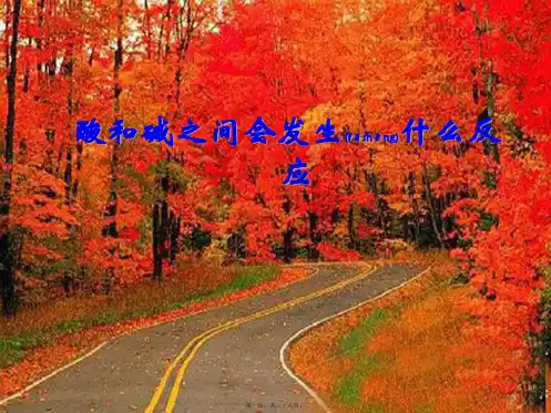 九年级化学《酸碱的反应》课件