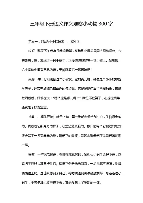 三年级下册语文作文观察小动物300字