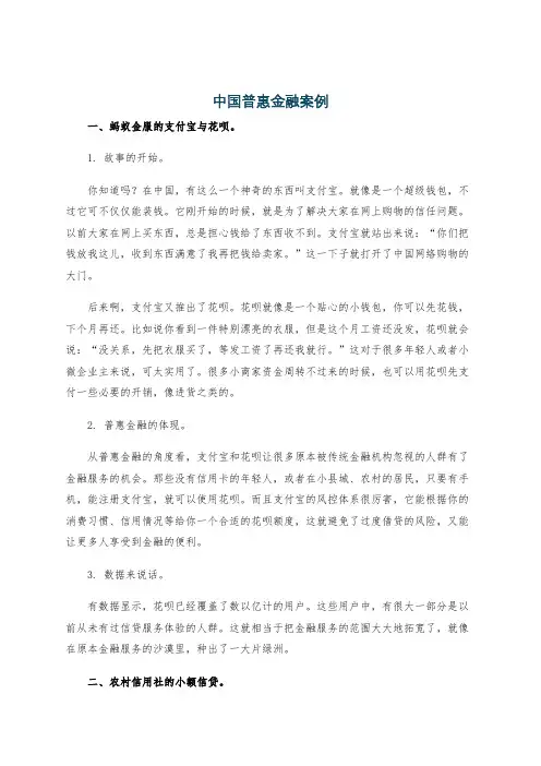 中国普惠金融案例