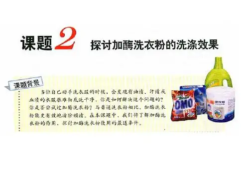 探讨加酶洗衣粉的洗涤效果