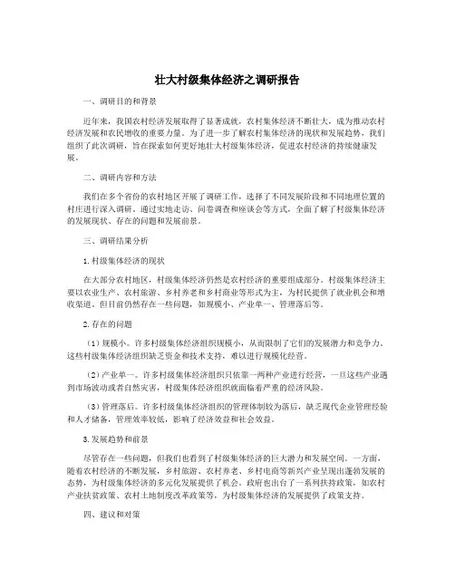 壮大村级集体经济之调研报告