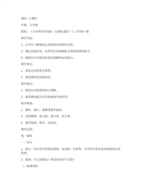 视觉认知教案模板范文